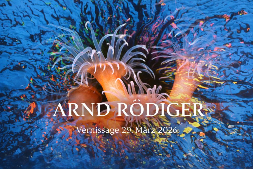 Die Aufnahme zeigt die ruhige, poetische Bildsprache von Arnd Rödiger, dessen Arbeiten von Unterwasserfotografie bis zu experimentellen Bildkompositionen reichen. Das Bild ist Teil der Ausstellung des Eppsteiner Fotografen in der Wunderbar Weite Welt.